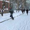 Зарница